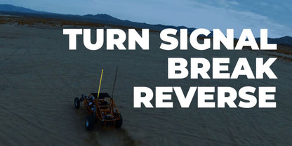 Extreme Whip Kit Qty 2 x 4 ft plus LEDCast Controller SoundExtreme